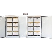 Проращиватель семян, бобов, злаков BSC-200A Foodatlas