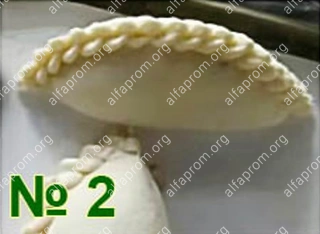 Формующий узел пельменного аппарата Roal Meat QT-150 №2 (имитация лепки: полумесяц, плет края, 16-18гр)